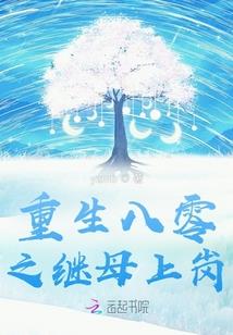睿虎VS汉兰达