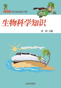 至上之巅峰