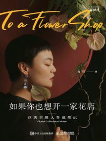 又见飞天