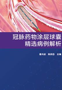 流光传说之光明圣途